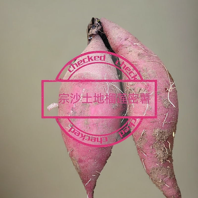 青龙正宗沙土地榴莲密薯5斤