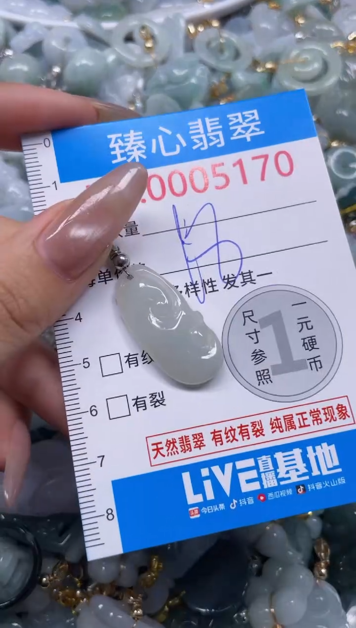 颈饰未镶嵌翡翠5170