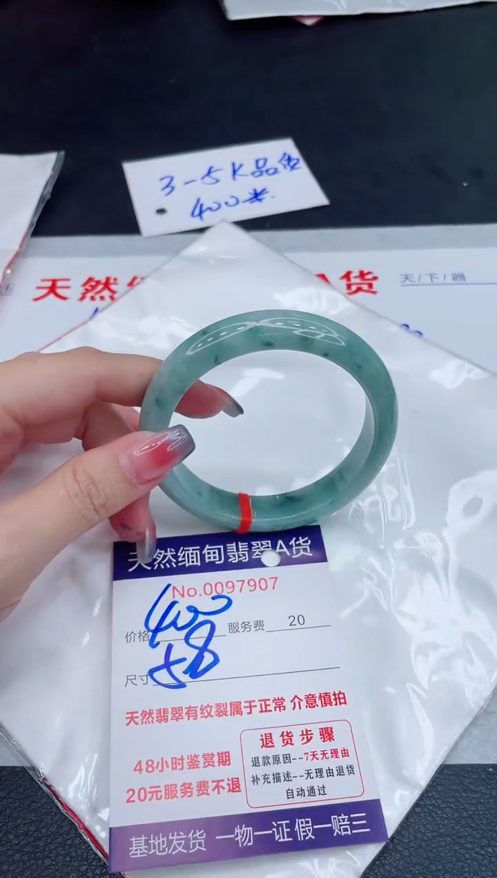 未镶嵌手镯翡翠400.00