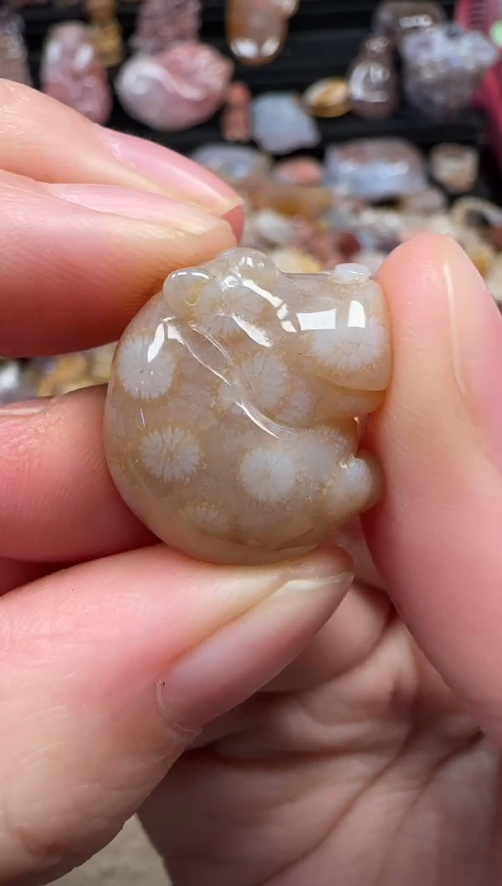 颈饰未镶嵌硅化珊瑚（珊瑚玉）280