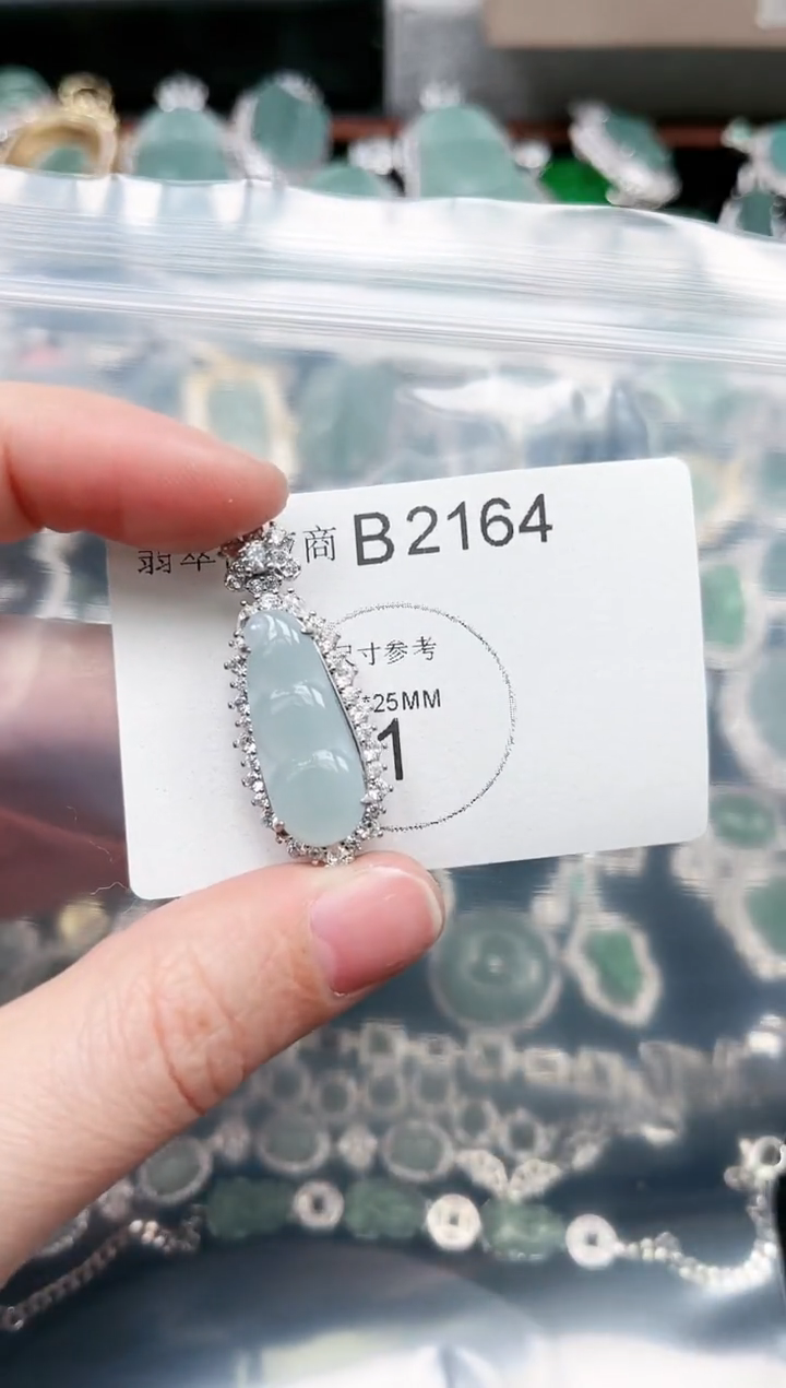 【闪购商品】翡翠颈饰未镶嵌赠皮绳2164
