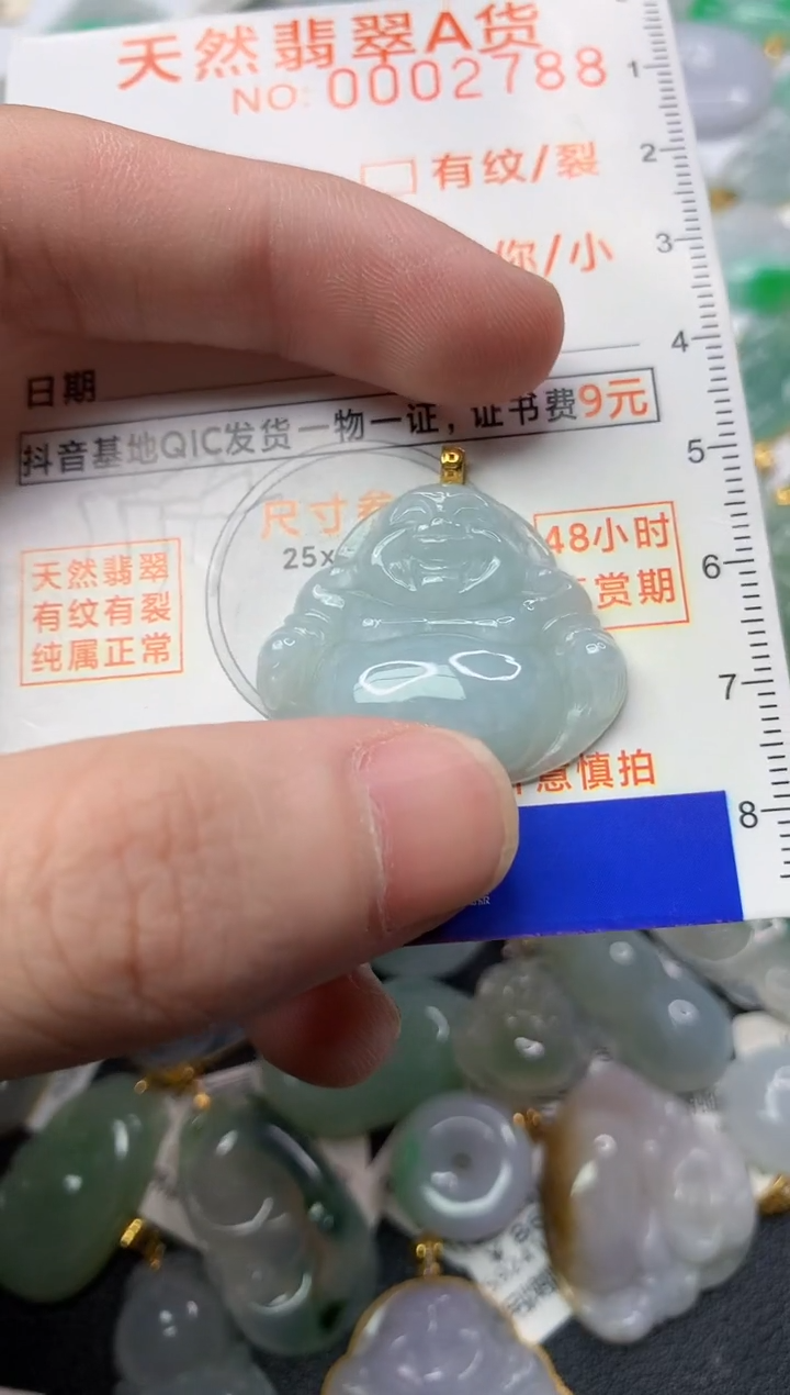 【闪购商品】翡翠颈饰18K金镶嵌1.............