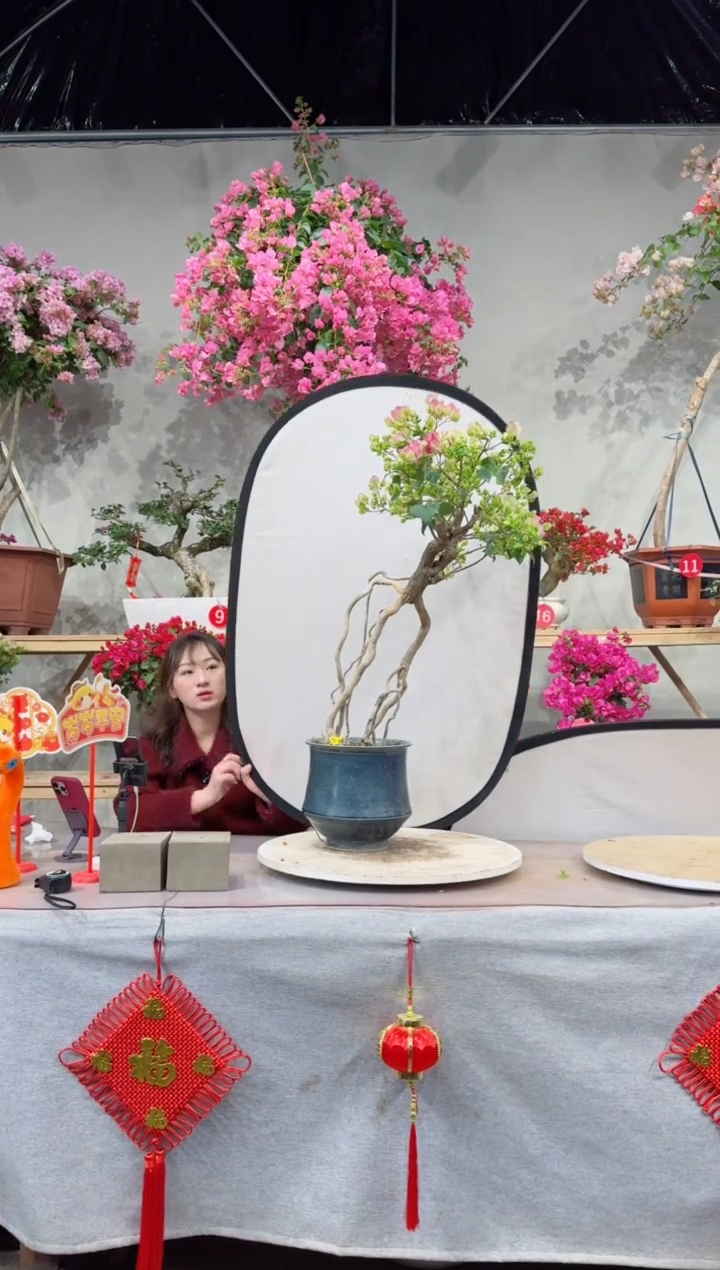 【闪购商品】盆景绿叶樱花