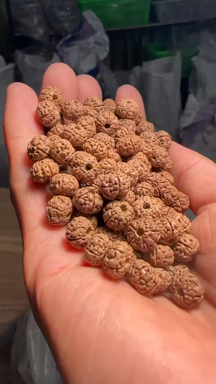 金刚菩提手串非全品老树王8-9mm左右散籽一份一百颗