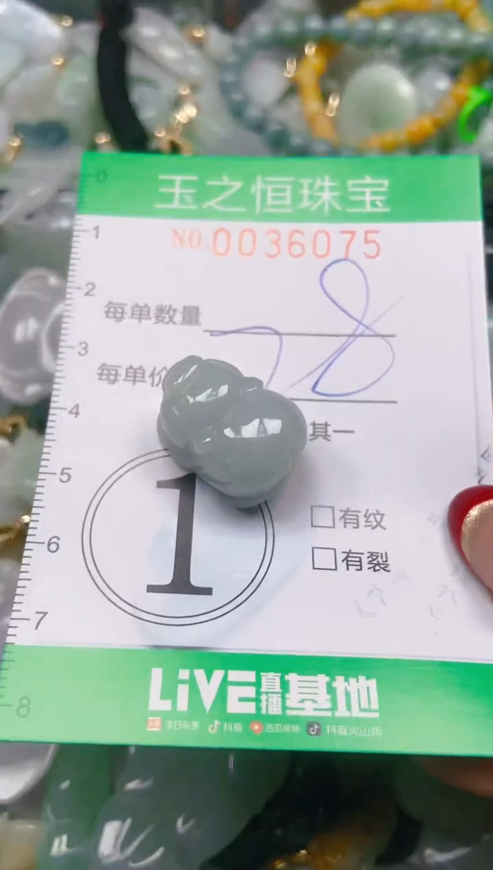 【闪购商品】翡翠颈饰未镶嵌闪购0036075