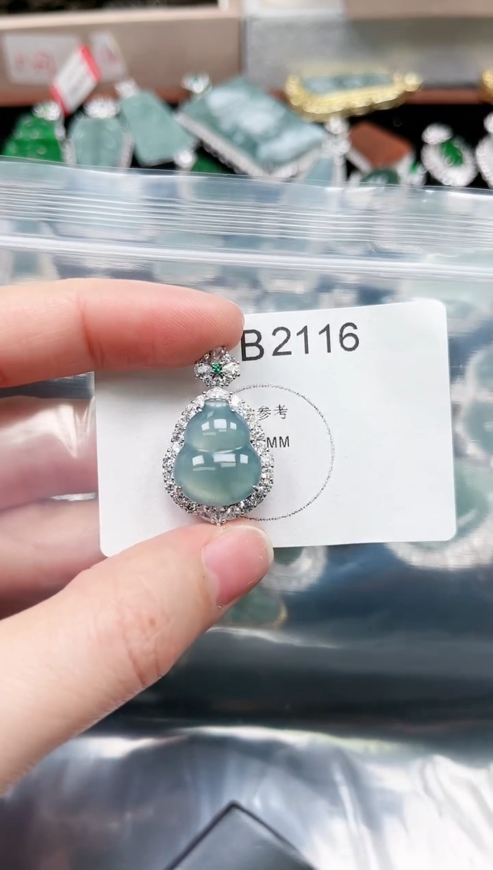 【闪购商品】翡翠颈饰未镶嵌2116赠皮绳