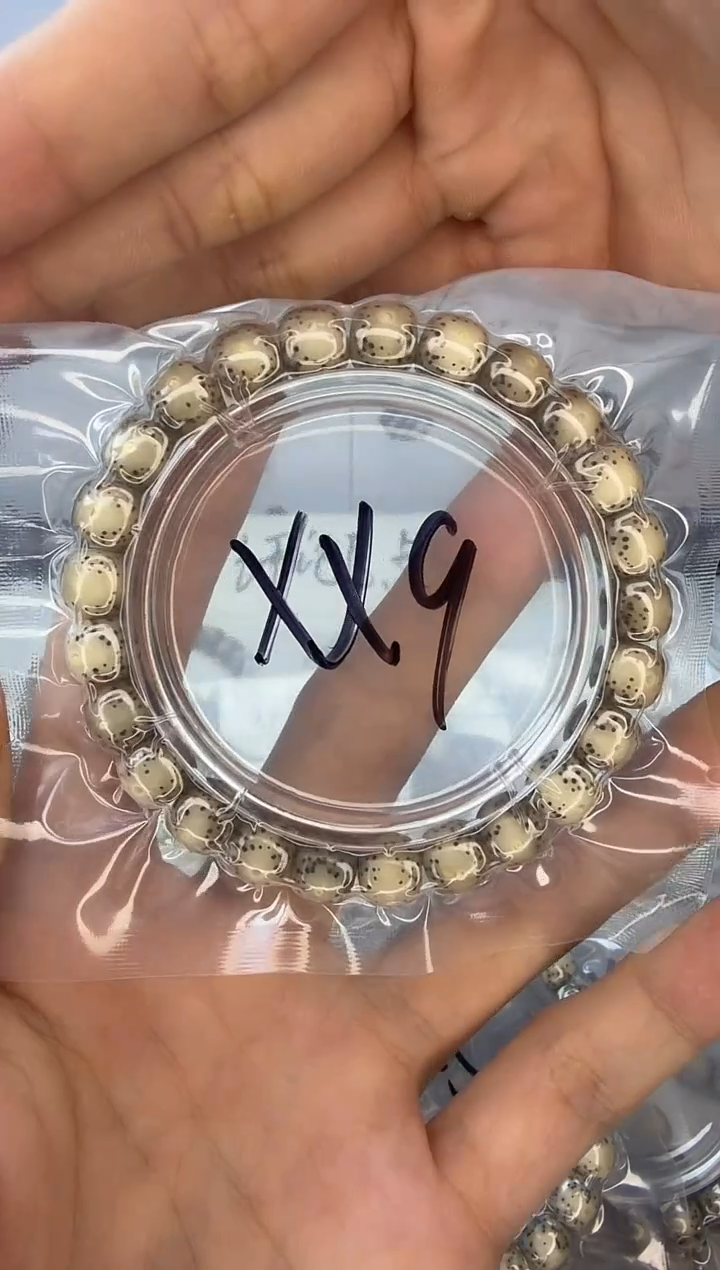 手串星月菩提9/8 冰糖 玉化大眼睛黄金瞳 正月留白粗星老料同枝果