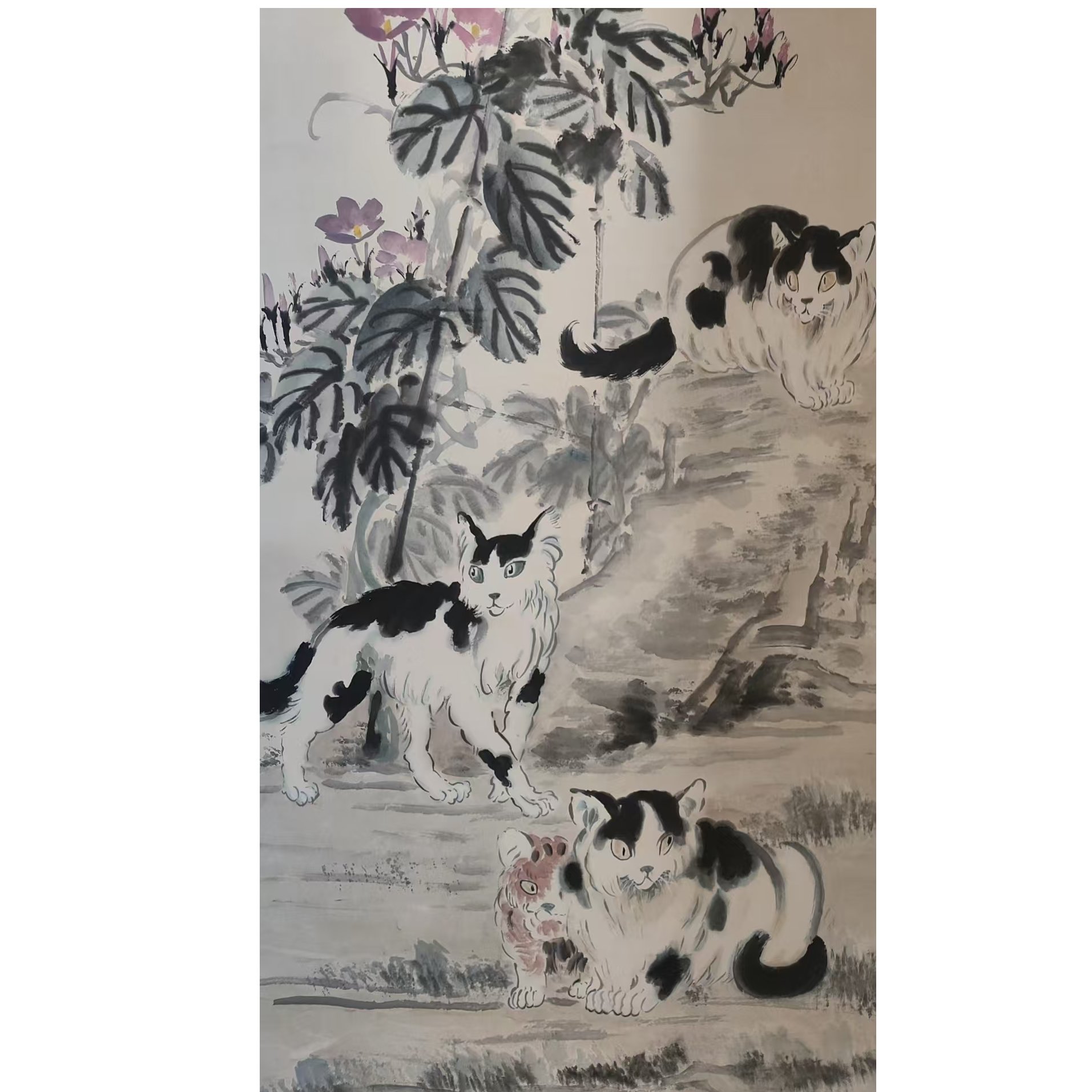 徐   猫立轴140/68