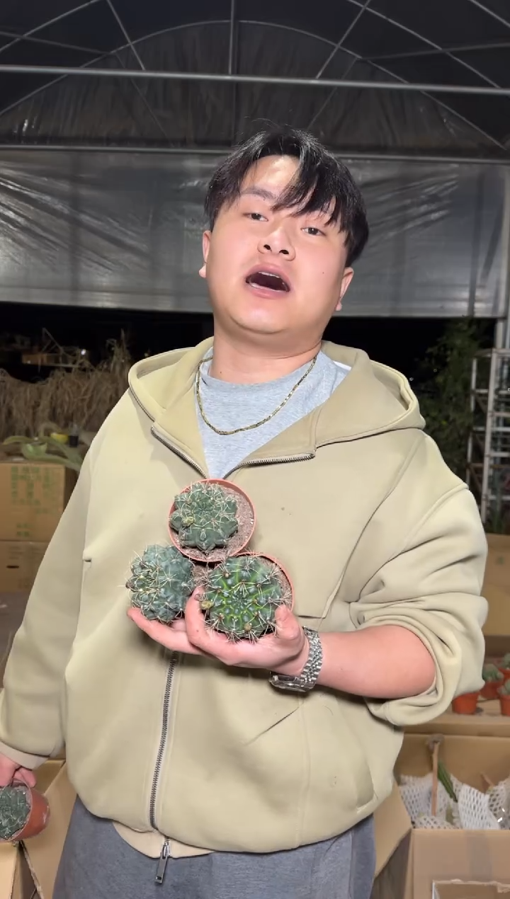 5颗 绯花玉 4-6cm 不指定带花苞