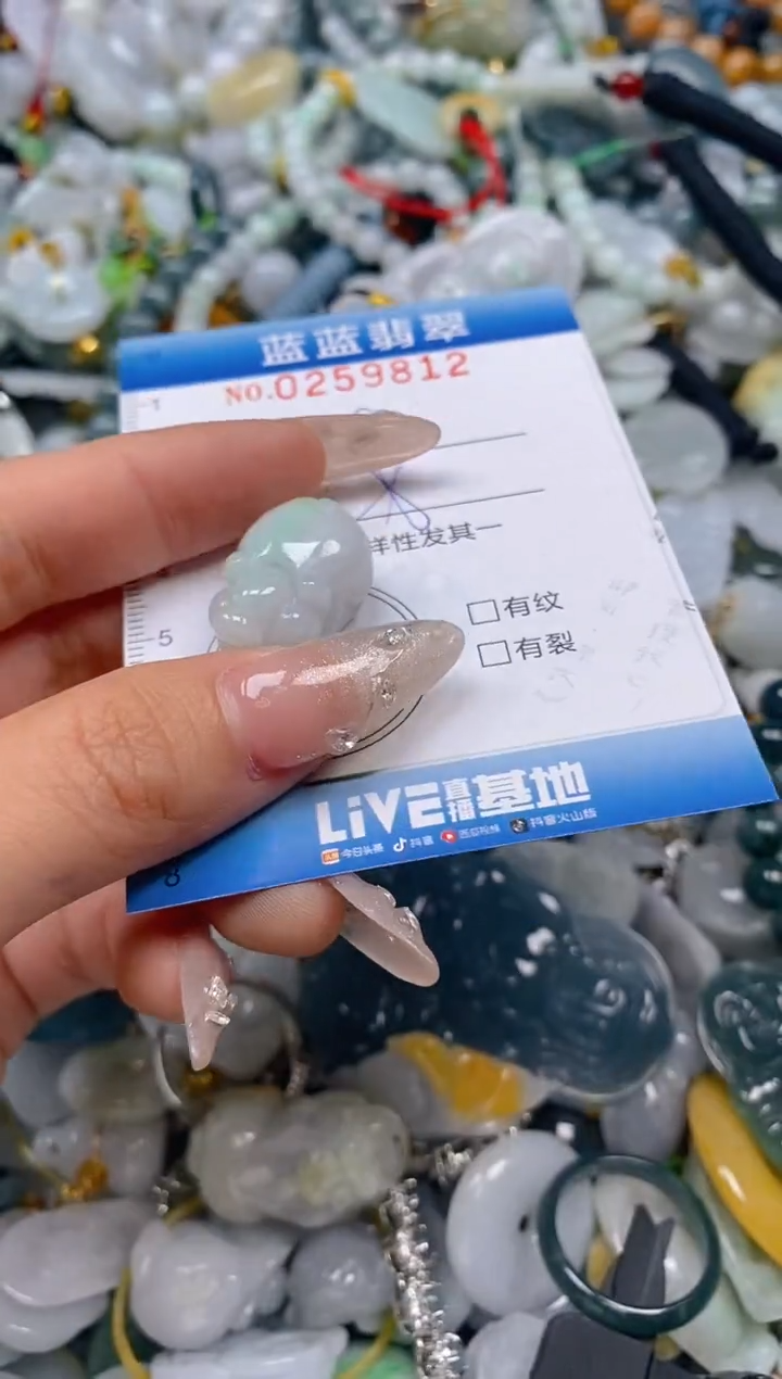 翡翠未镶嵌颈饰闪购0259812