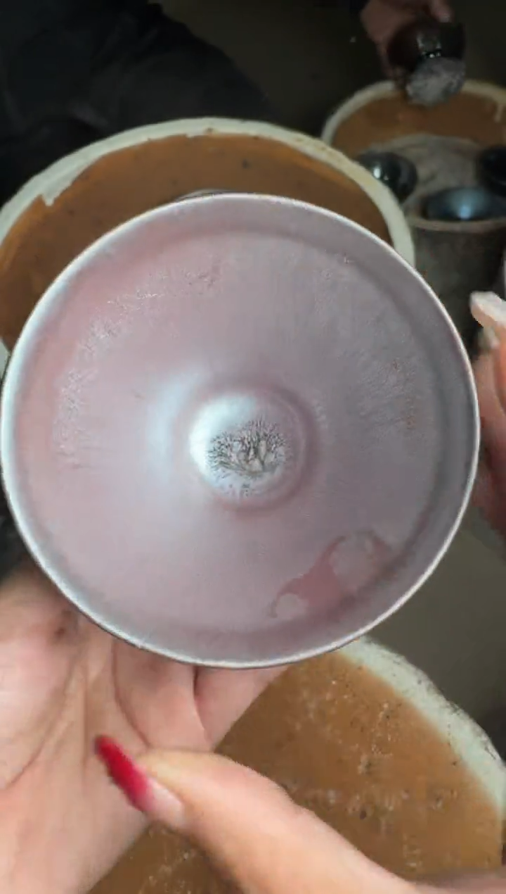 【闪购商品】茶盏严柳忠柴烧盏3