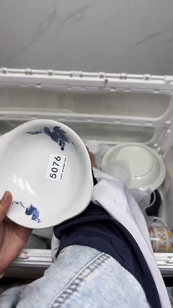 【闪购商品】5076回流瓷器默认微瑕，18.8包邮