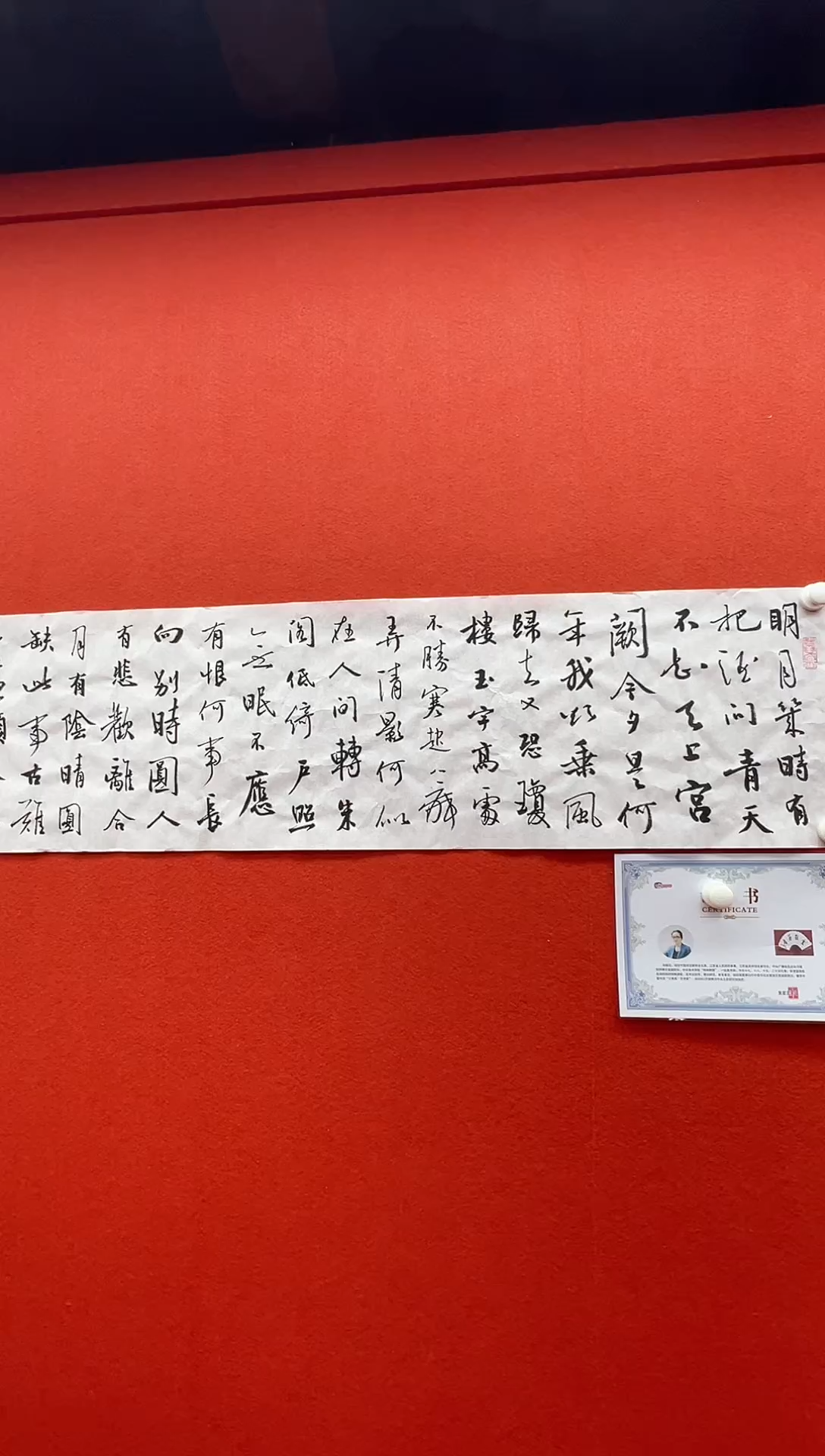 书法复星书画精选作品