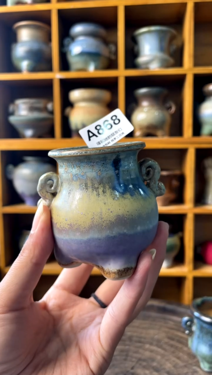 868【多肉花盆多肉盆】