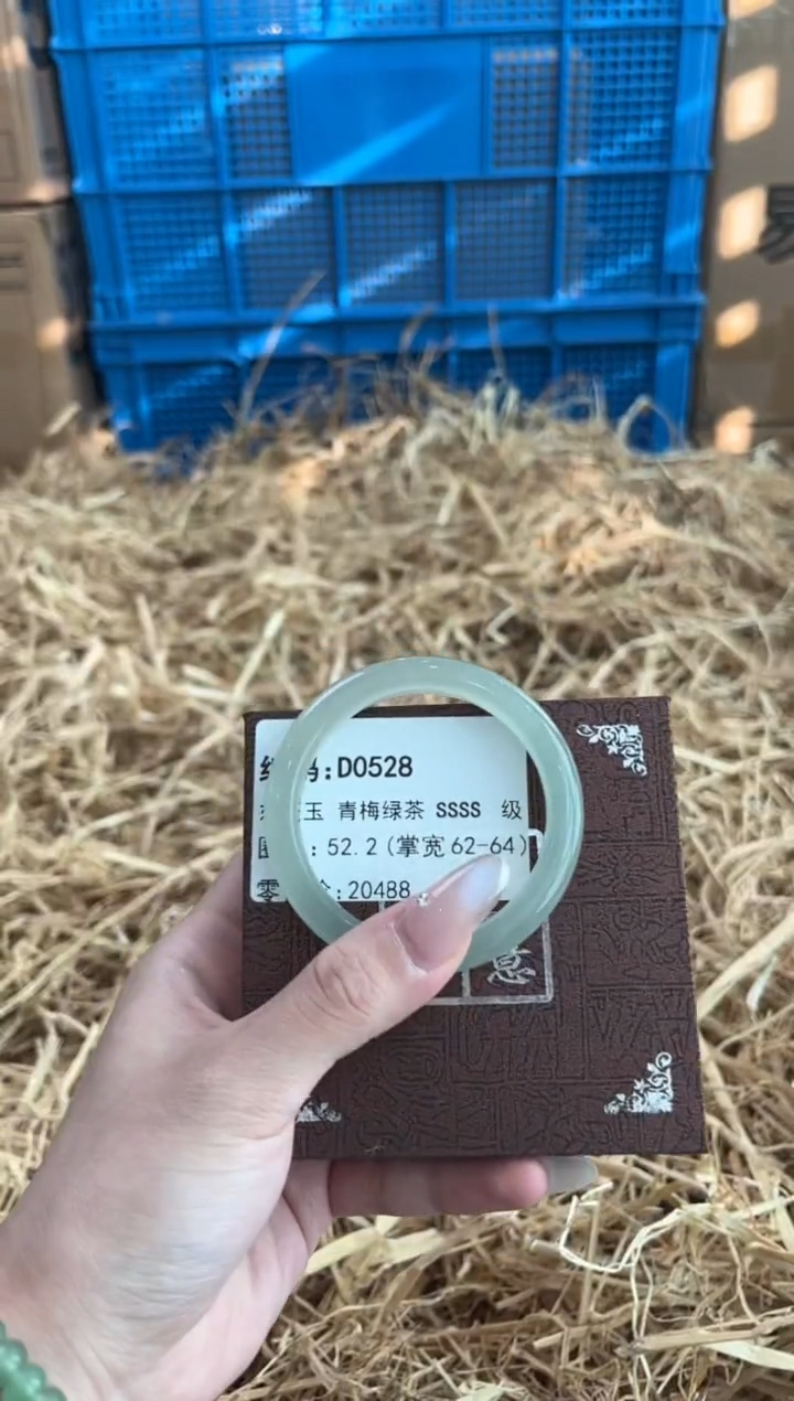 未镶嵌手镯石英质玉D0528