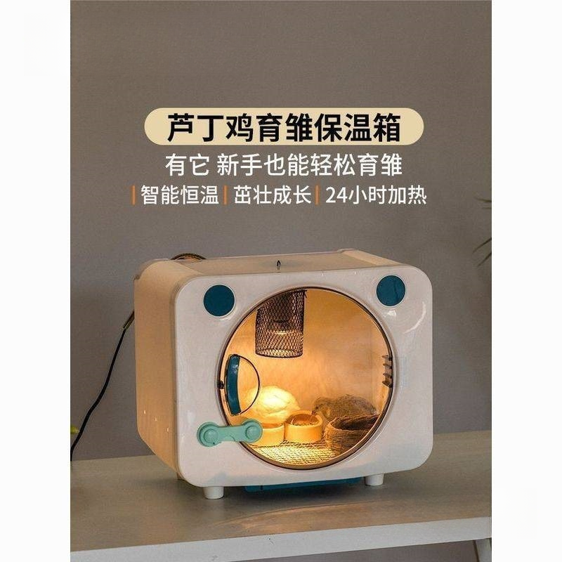 保温箱宠物智能风暖鹦鹉保温箱幼鸟雏鸟恒温0天玄凤牡丹小太阳