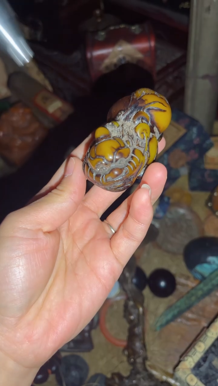 香榧木一一一一一福利