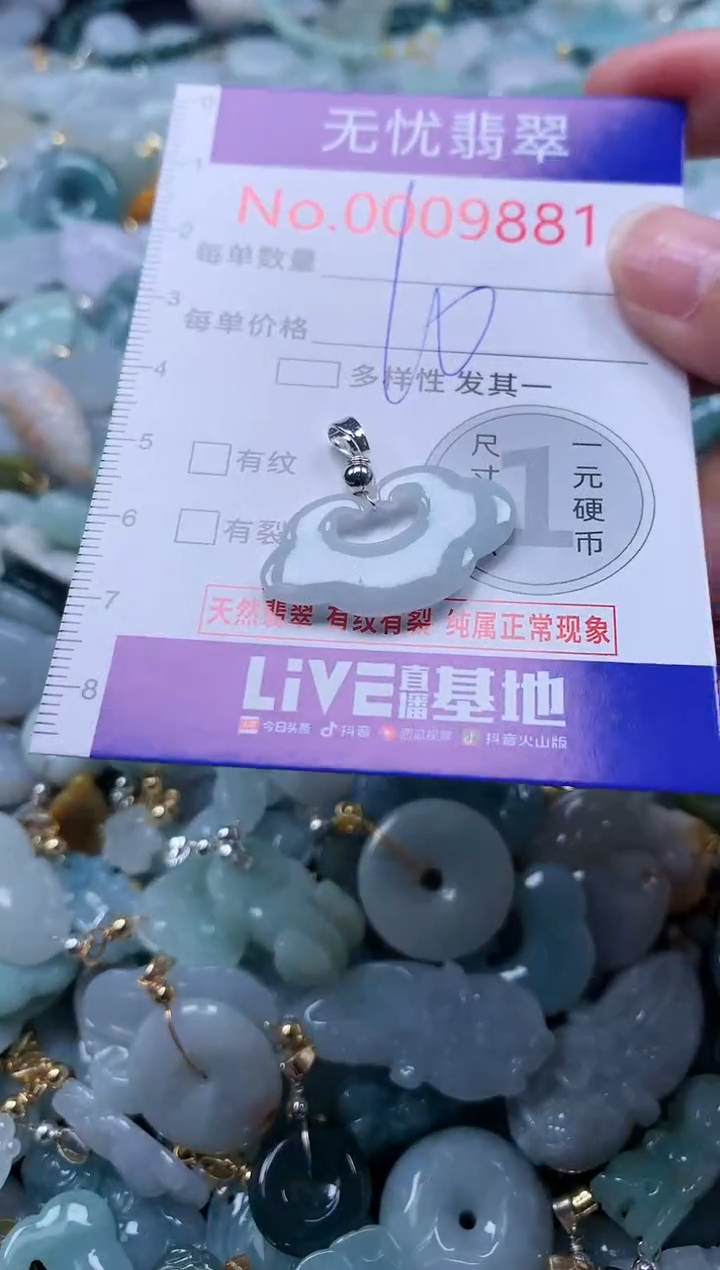 翡翠未镶嵌吊坠(不含链)9881
