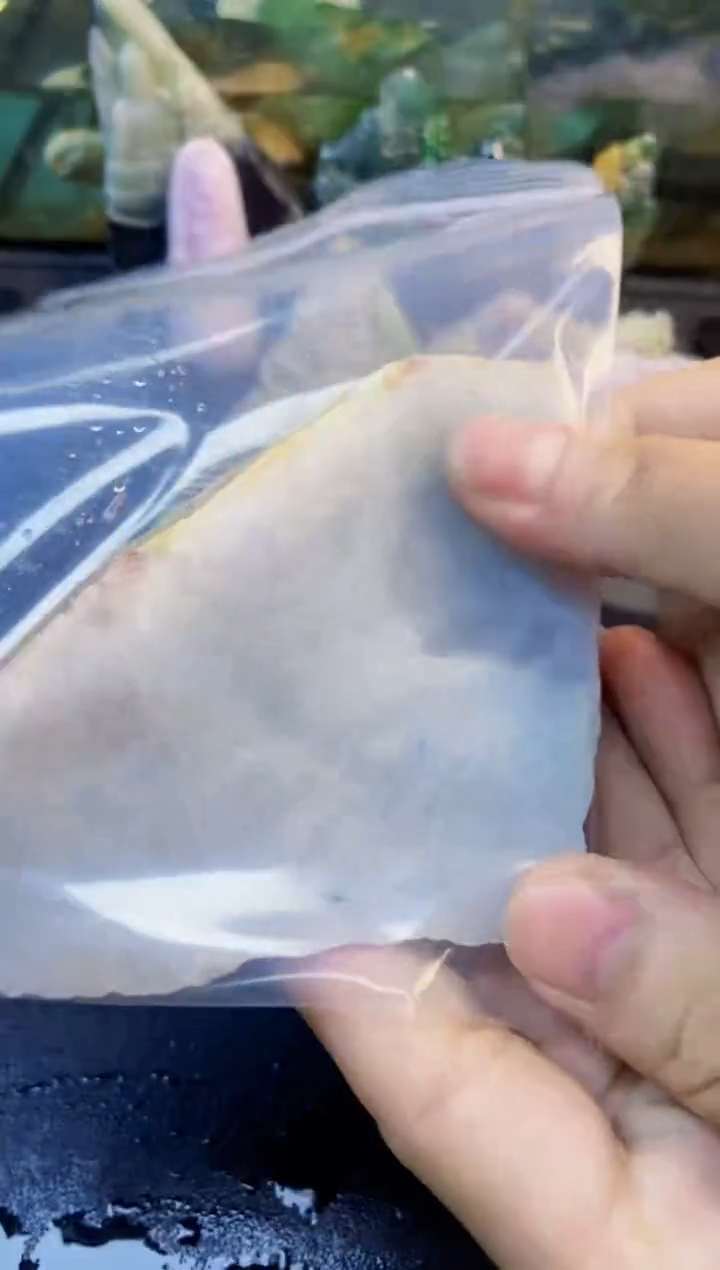 颈饰未镶嵌翡翠天然翡翠027
