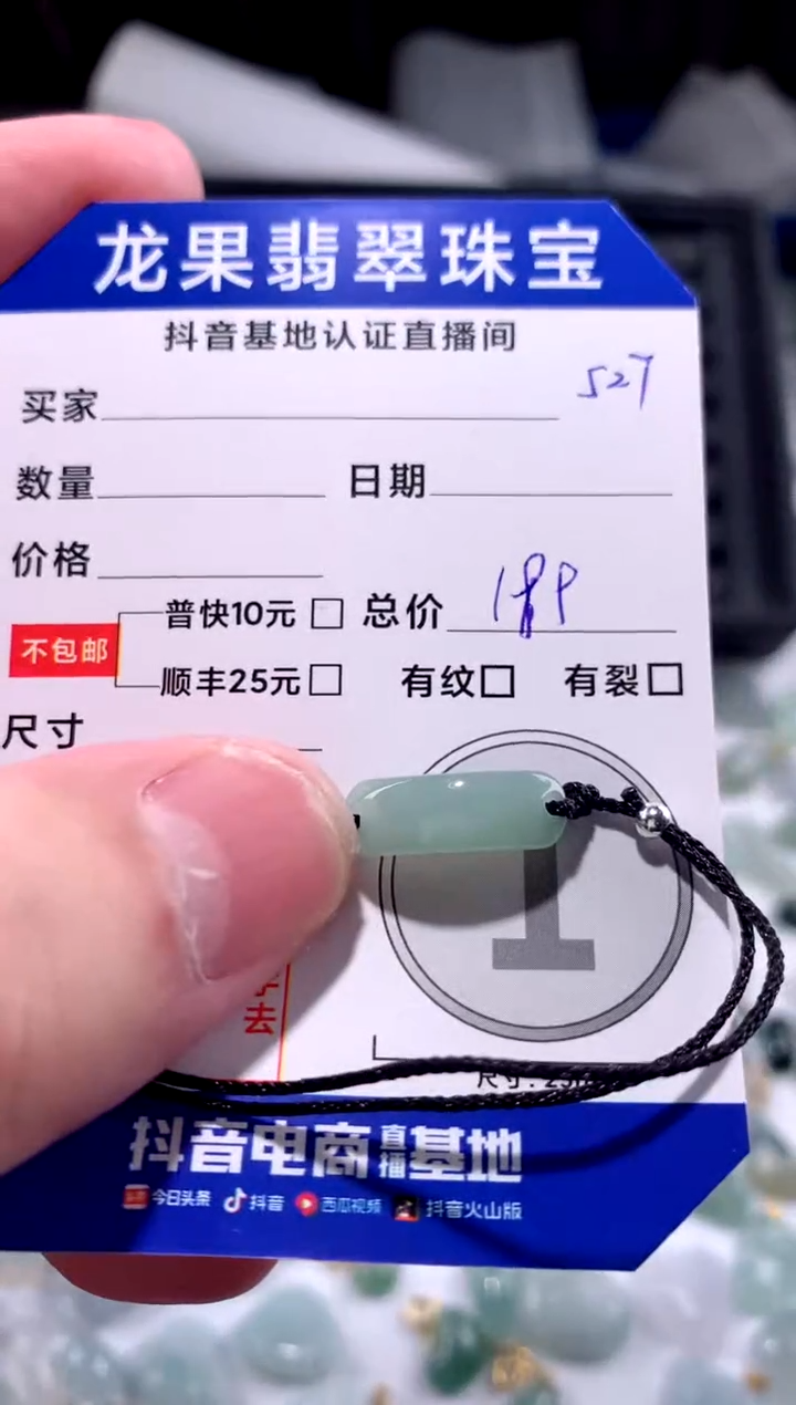 【闪购商品】翡翠颈饰未镶嵌手牌527