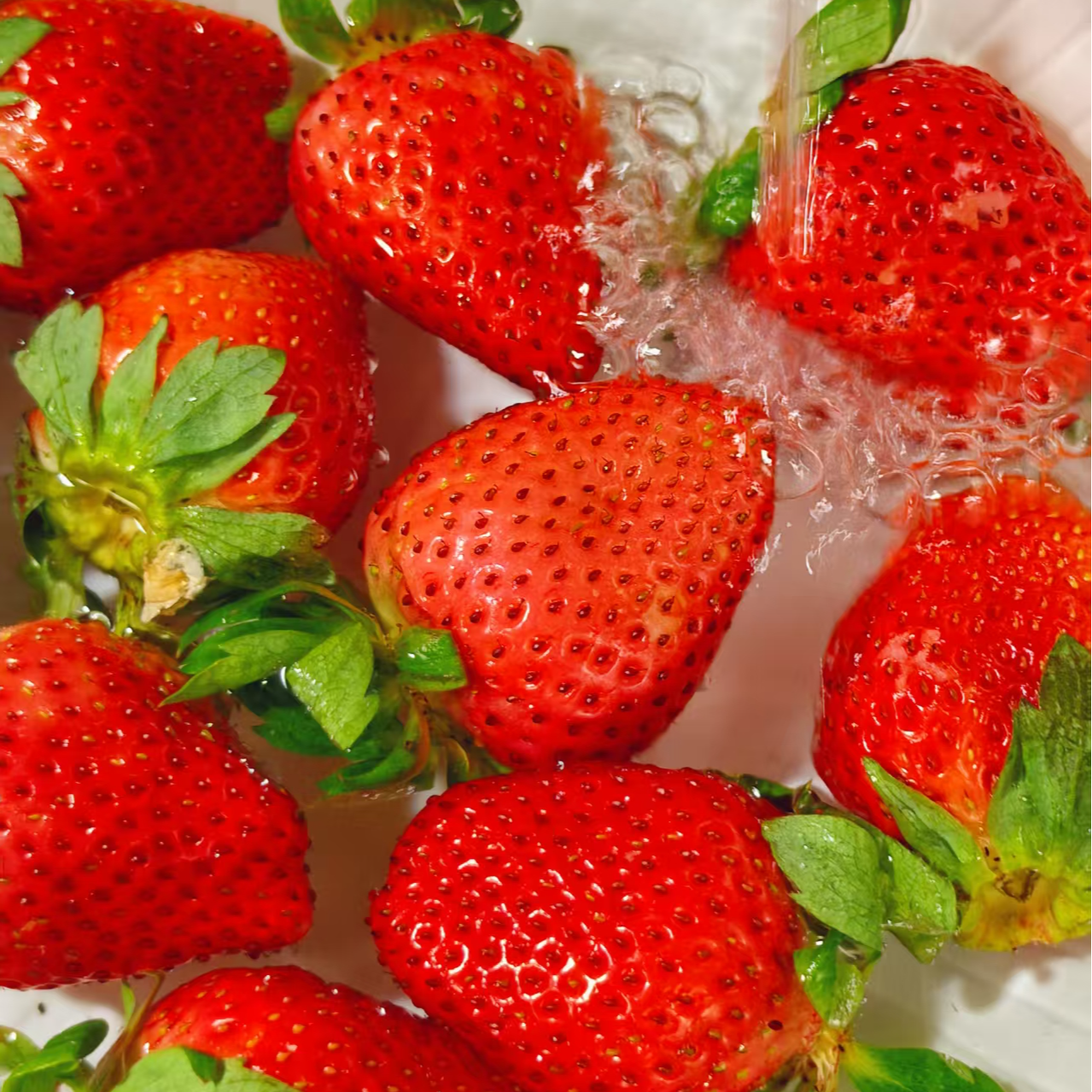 【南宁同城】新鲜奶油草莓净重1.1斤一盒大小头数随机发货安徽省