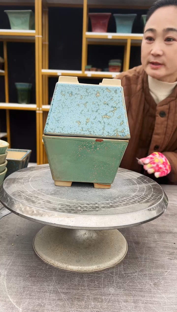 植***者58号一全品一微瑕两盆组合