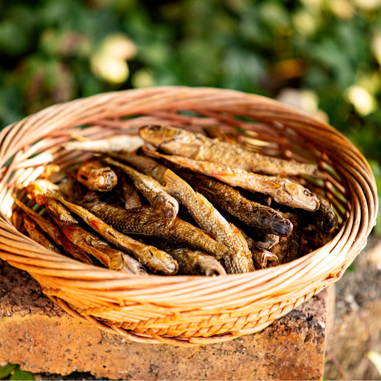 谭爹爹湖南攸县柴火烟熏火培鱼