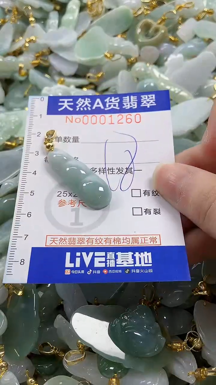 颈饰未镶嵌翡翠纯天然货翡翠