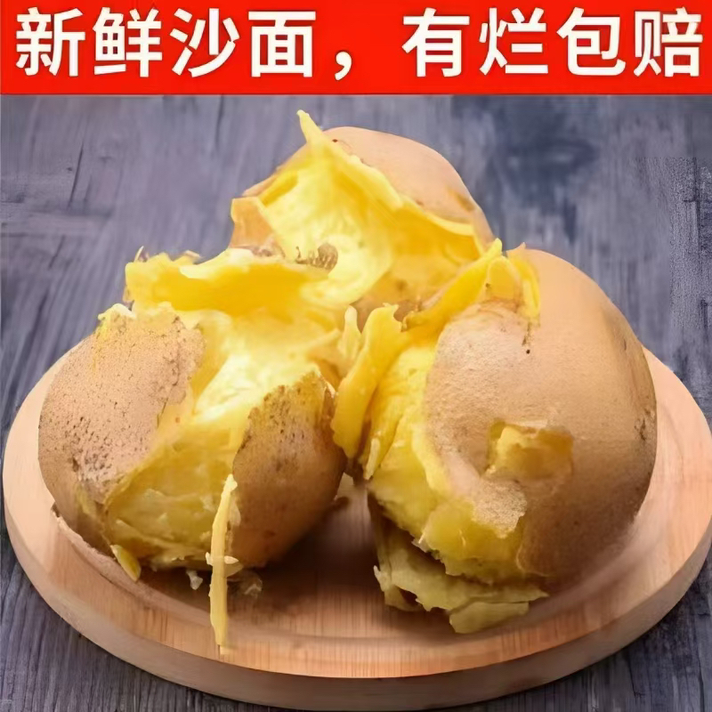 甘肃沙面黄心土豆现挖先发整箱包邮沙糯粉面带箱9-10斤