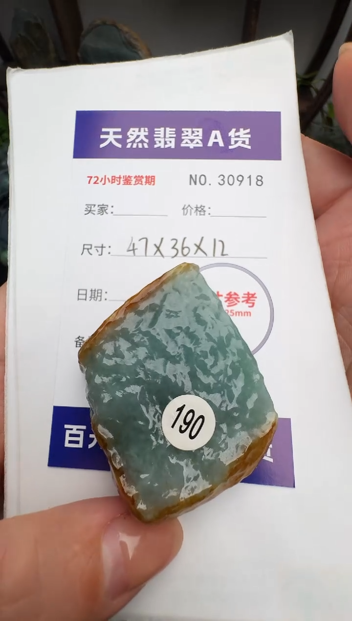 颈饰未镶嵌翡翠常*原石30918