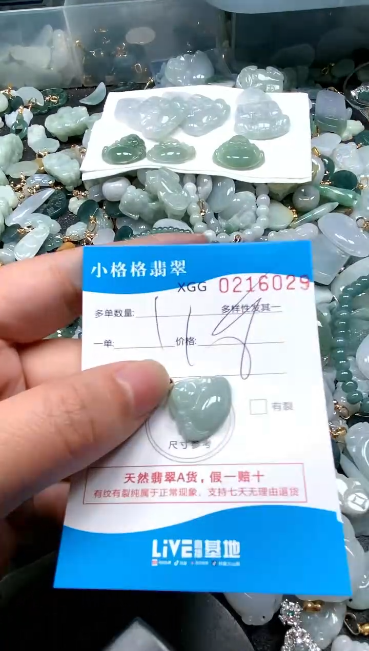 【闪购商品】翡翠颈饰未镶嵌闪购商品0216029