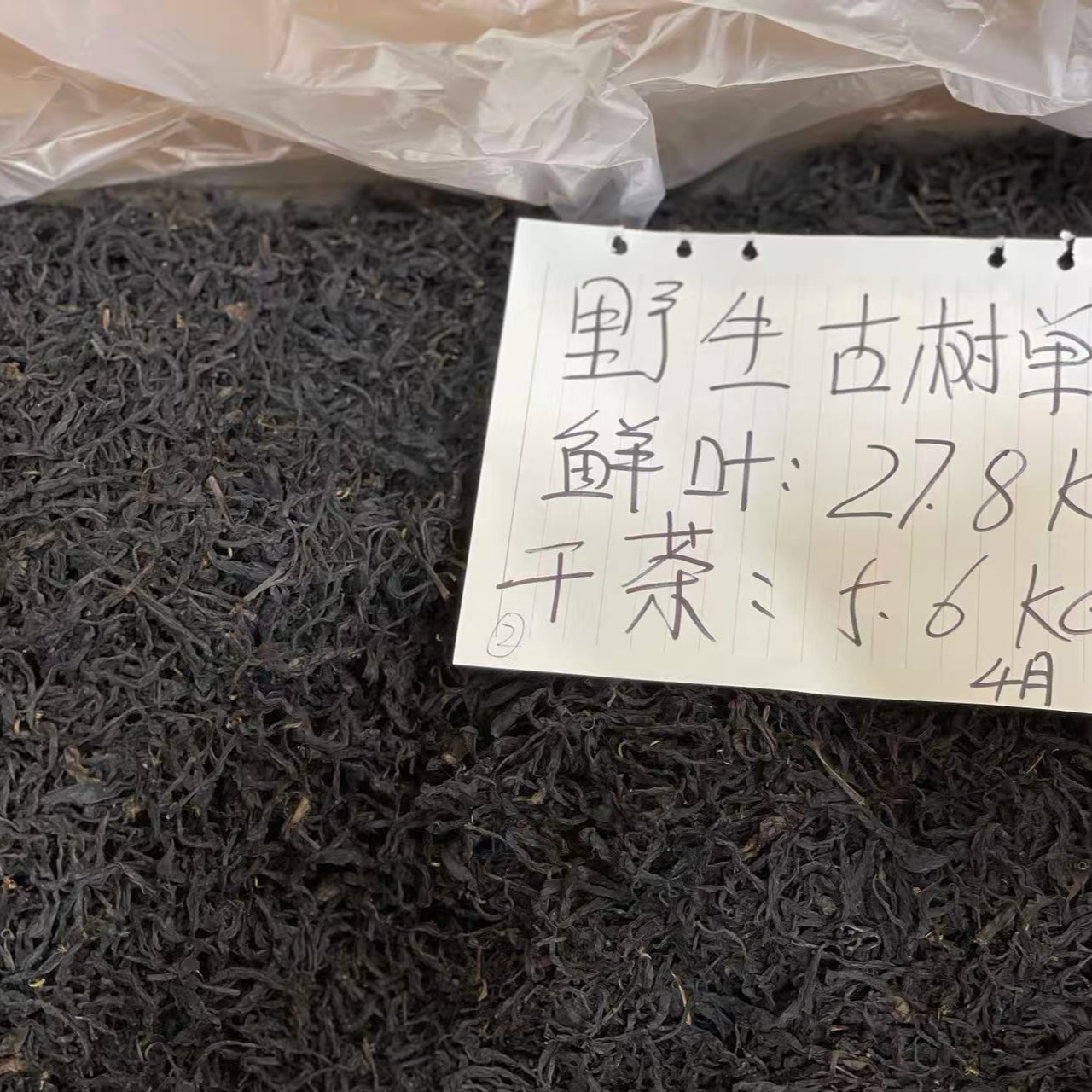 【30号】2025年 千年老妖单株古树红茶5.2kg 春 100克/袋 6月10日