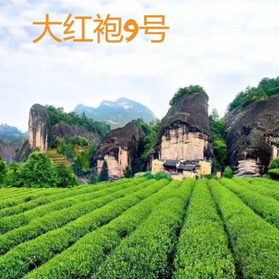 半斤泡袋补差价链接1