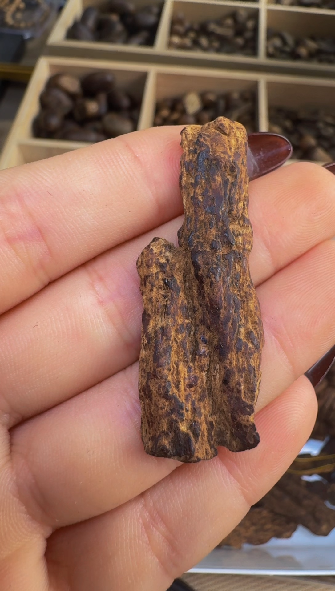【闪购商品】沉香吊坠越南惠安红土