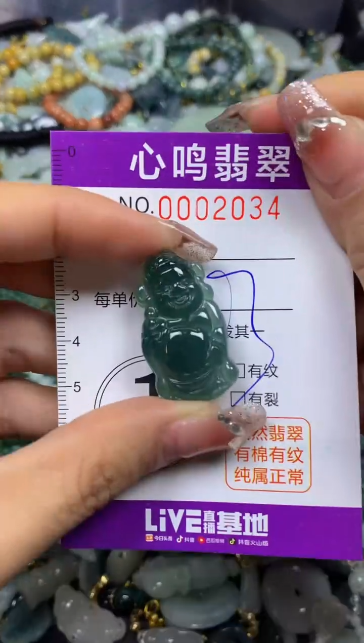 【闪购商品】翡翠颈饰未镶嵌闪购002034