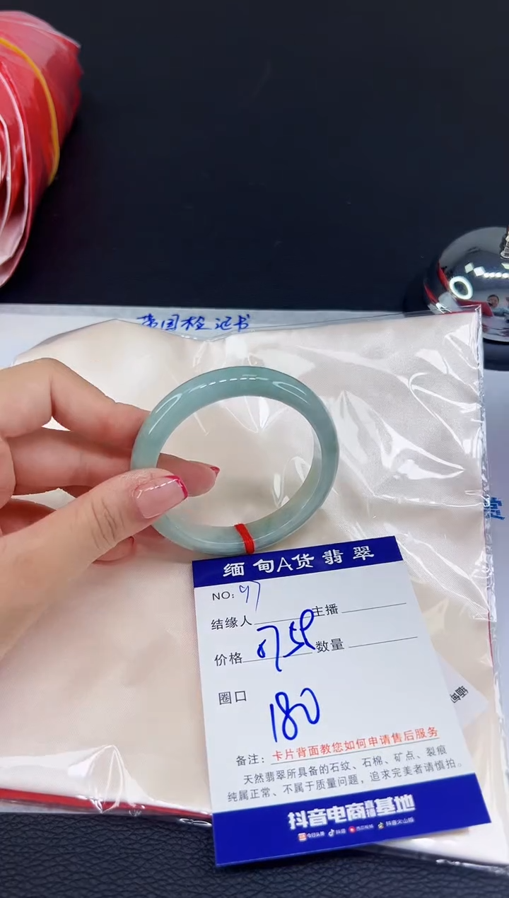 未镶嵌手镯翡翠11111