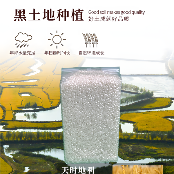 金老头大米1KG试吃装