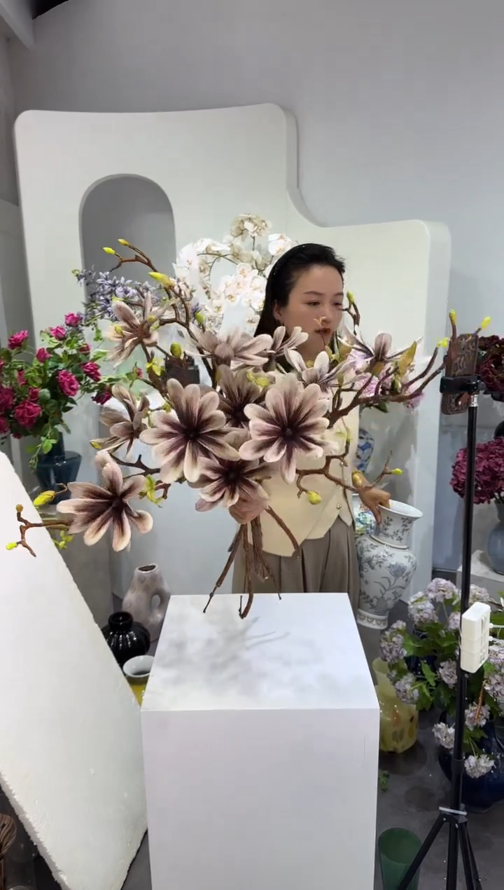 【闪购商品】藤6支紫咖玉兰