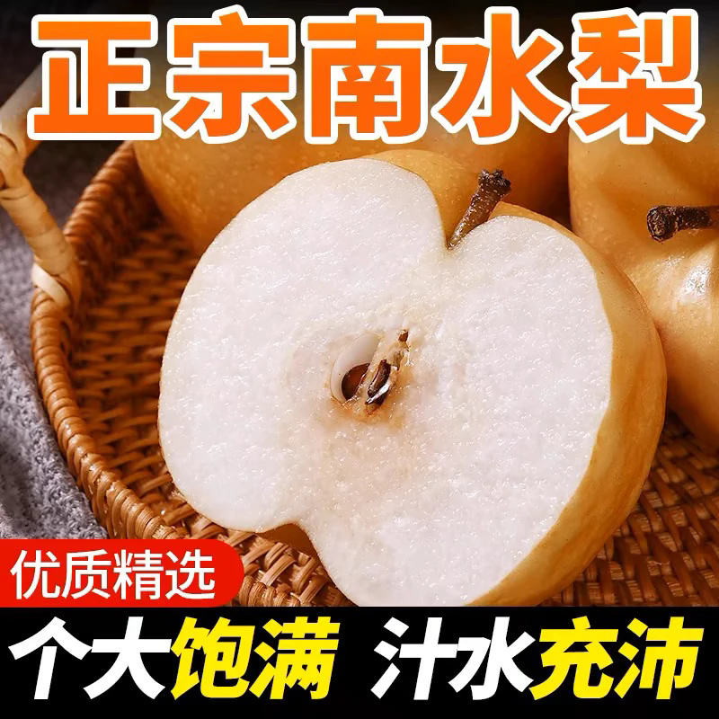 S1正宗山东莱阳南水梨5斤装水果当季冰糖南水梨比秋月梨甜度更高