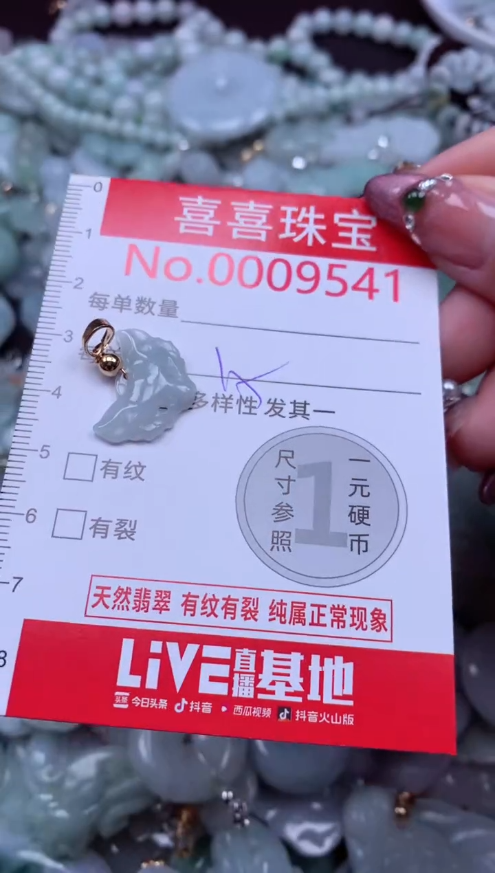 颈饰未镶嵌翡翠9541