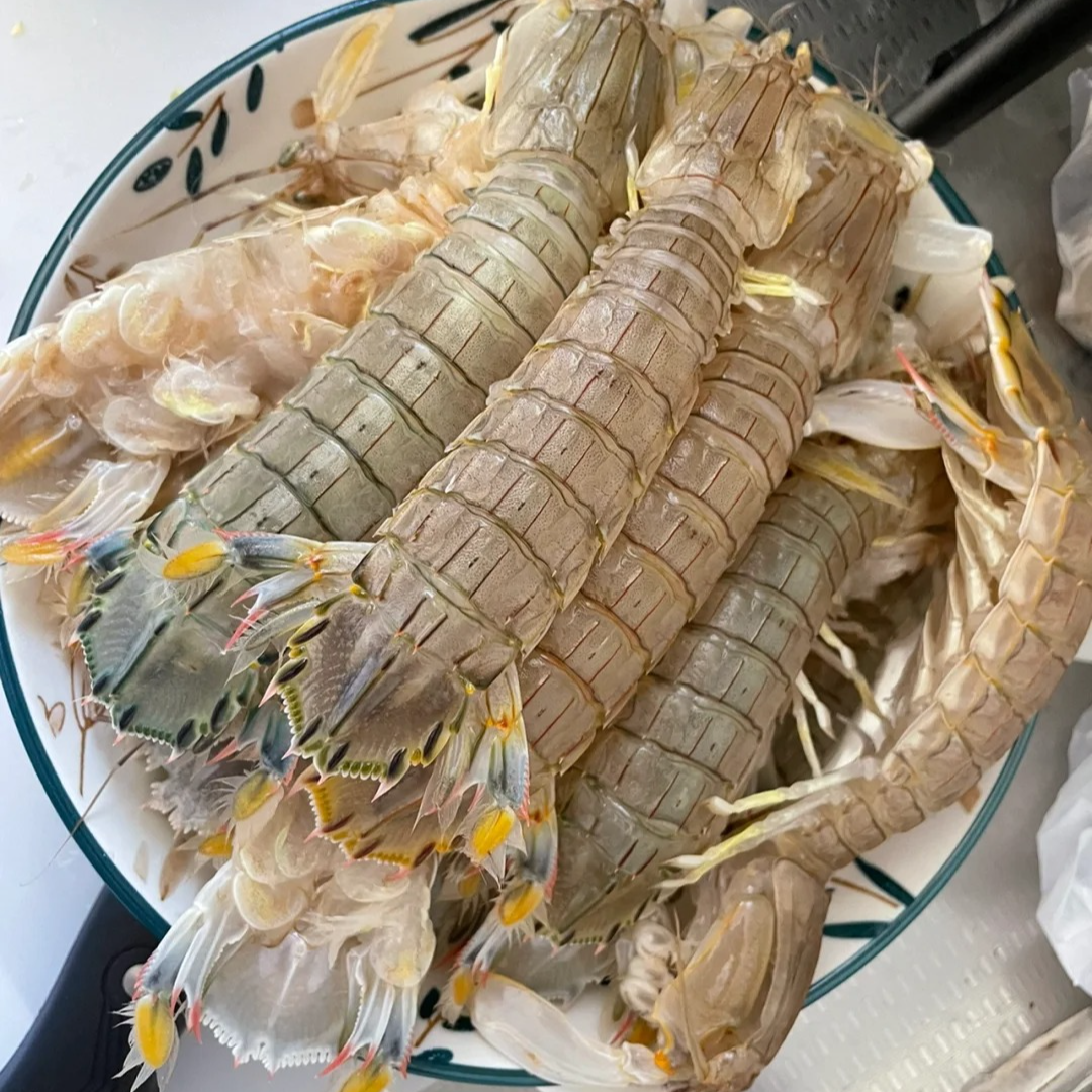 【鲜活】虾爷爷 （每斤12-16只左右）皮皮虾  超特 虾爬子 皮皮虾 【保鲜不保活】爬爬虾 虾爬子 