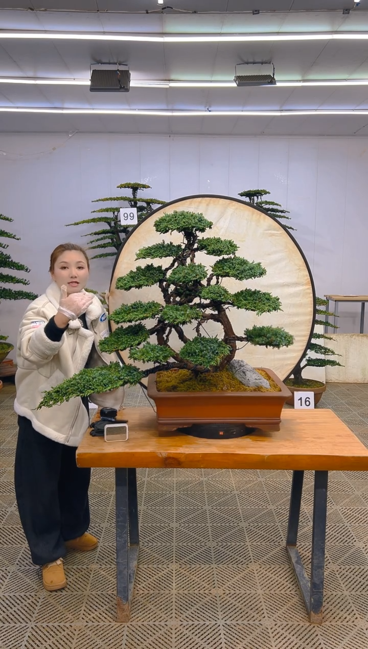 无花朵一物一拍一物一拍