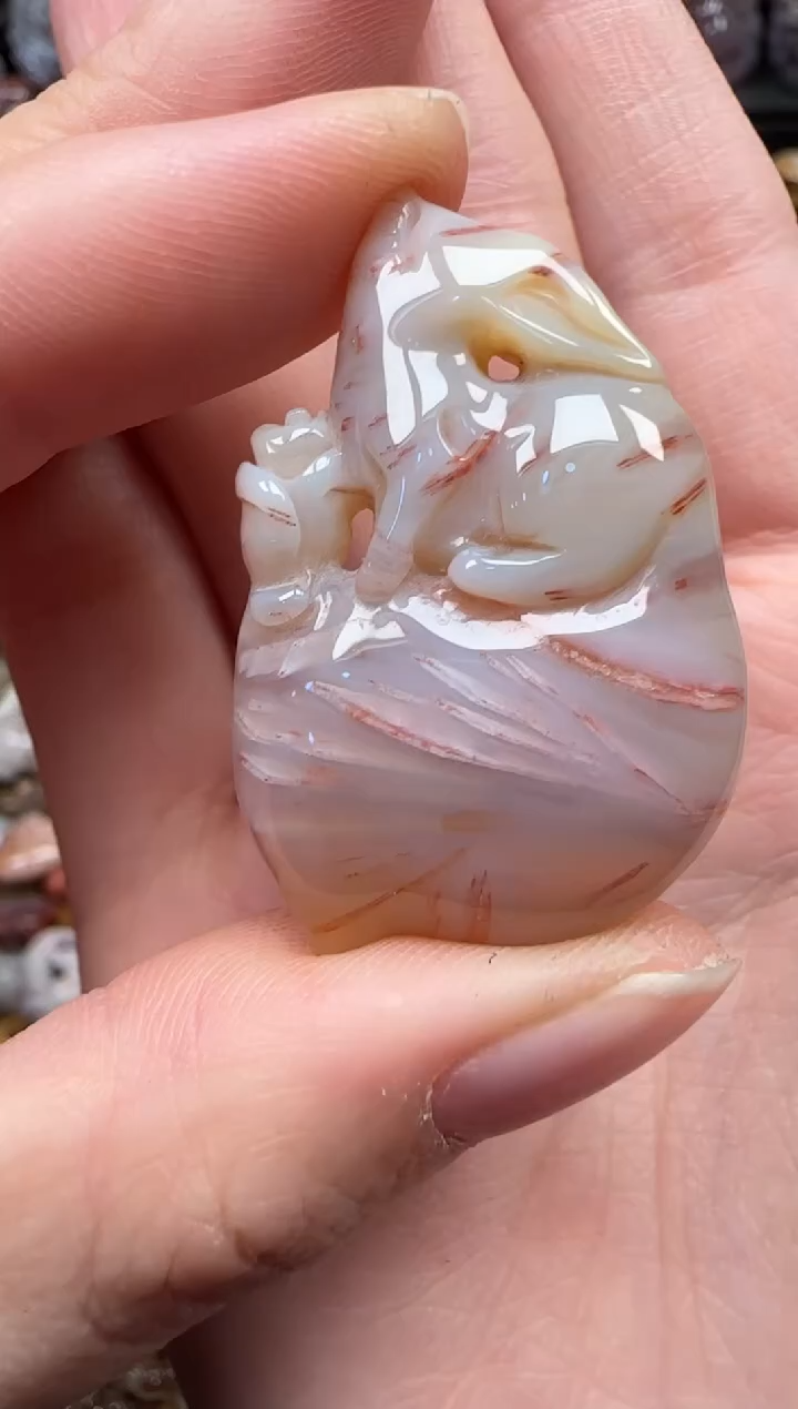 颈饰未镶嵌硅化珊瑚（珊瑚玉）831