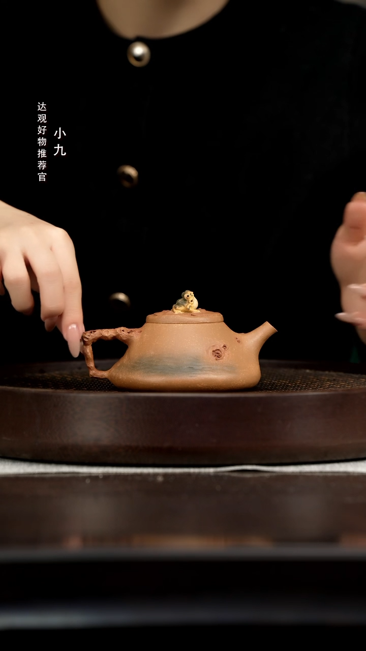 九DG64春庭居陆梅芳太湖石瓢段泥200