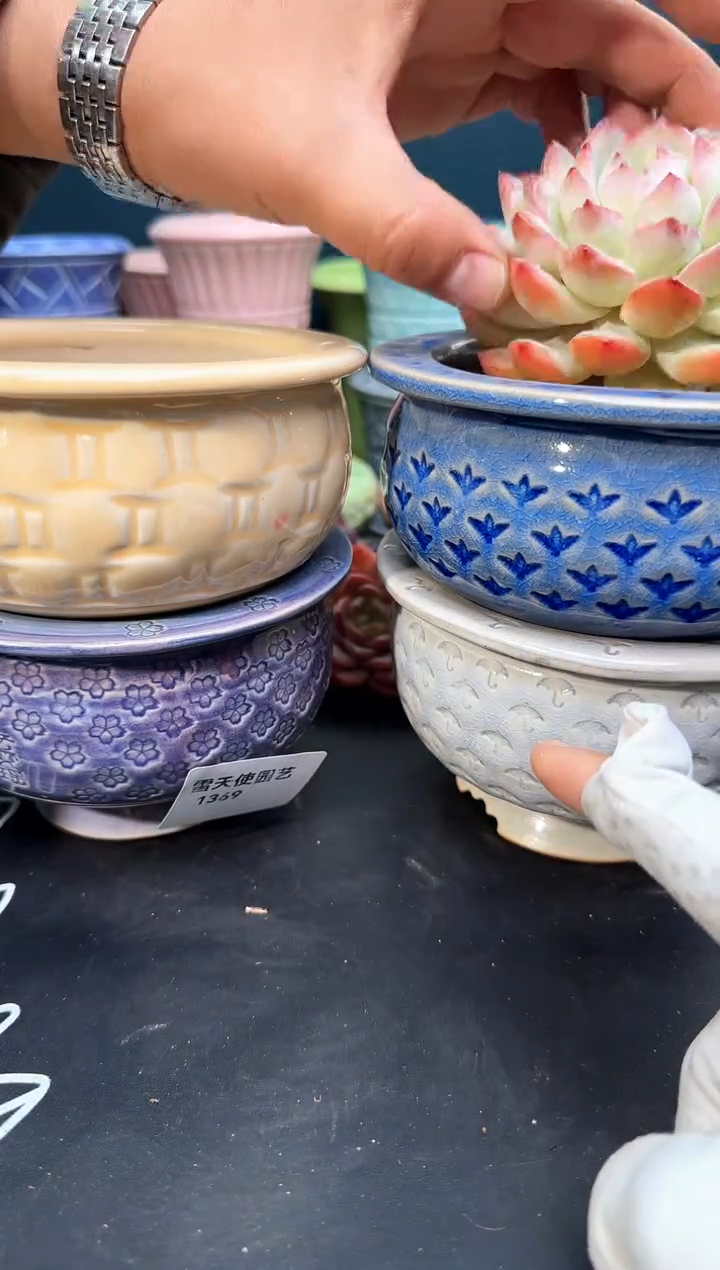 13 69  云霓瑶*4   默认微瑕