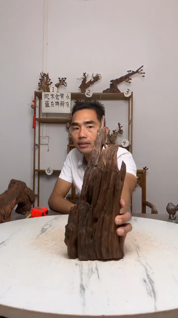 那**事鱼缸造景沉木摆件