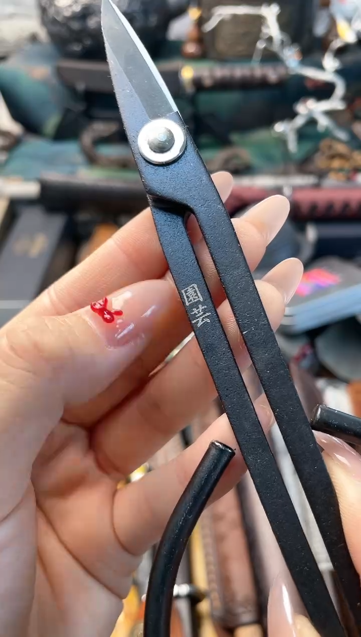 【闪购商品】瓷片jian晓魏甄宝阁品质保证