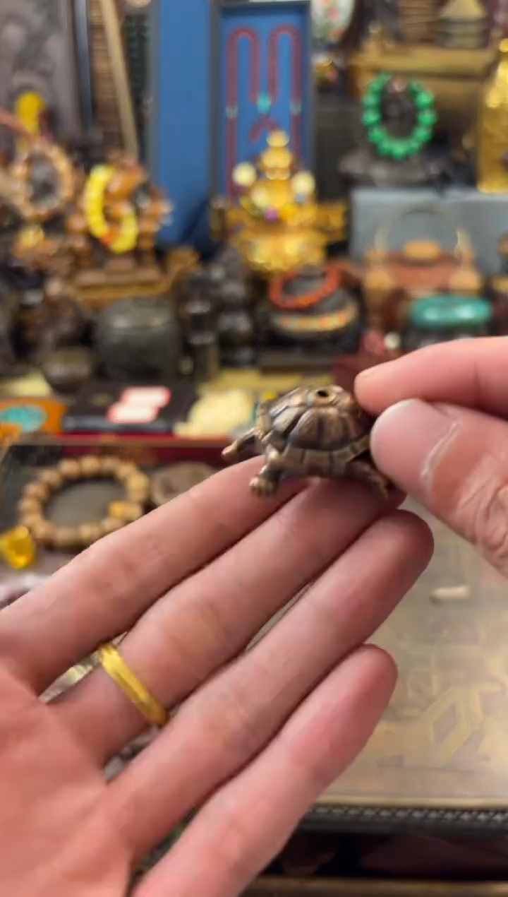 11小七甄选所见及所得