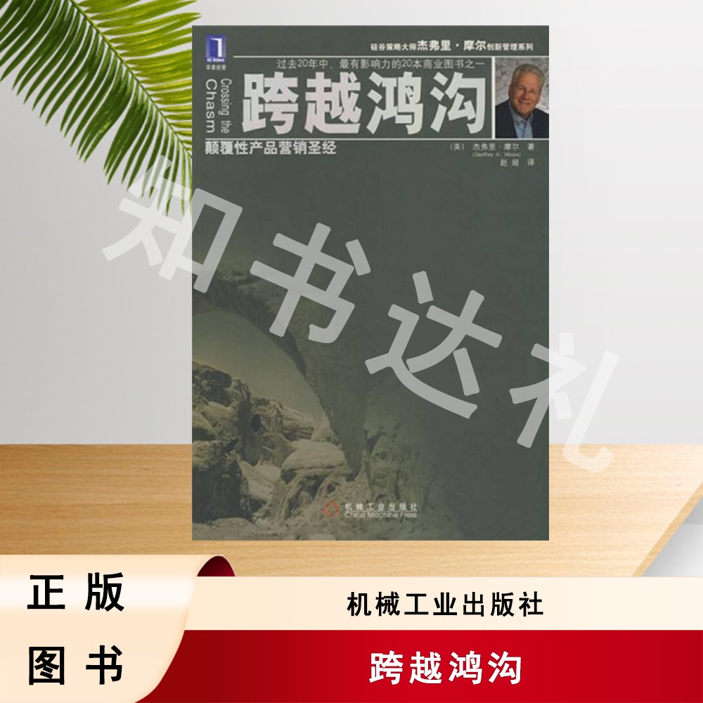 正版玖品 跨越鸿沟：颠覆性产品营销圣经 杰弗里·摩尔 著
