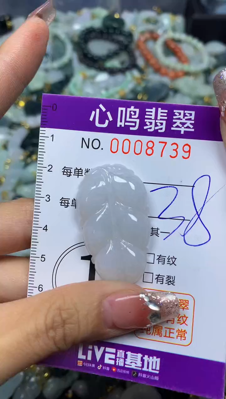 【闪购商品】翡翠颈饰未镶嵌闪购008739